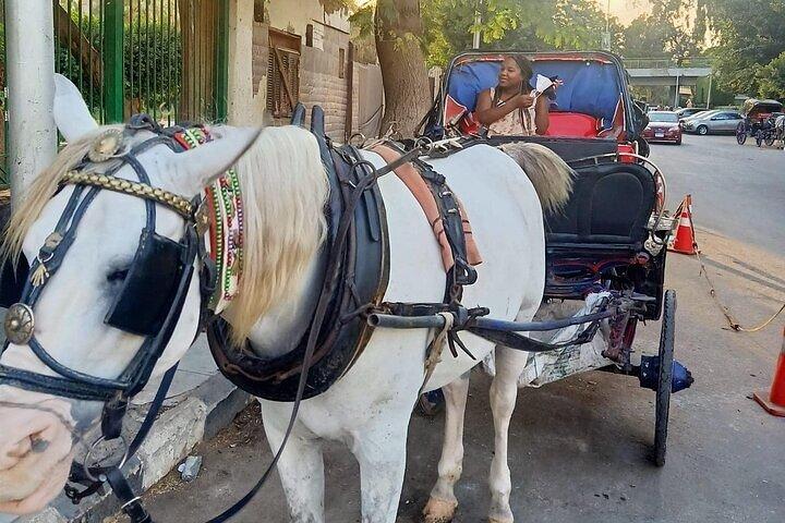 Cairo Private City Tour with Felucca and Carriage ride with Meal
