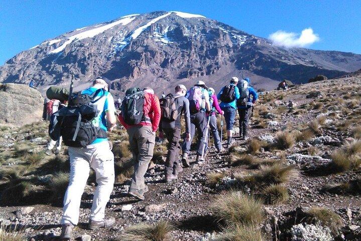 6 Days Kilimanjaro Climbing Machame route
