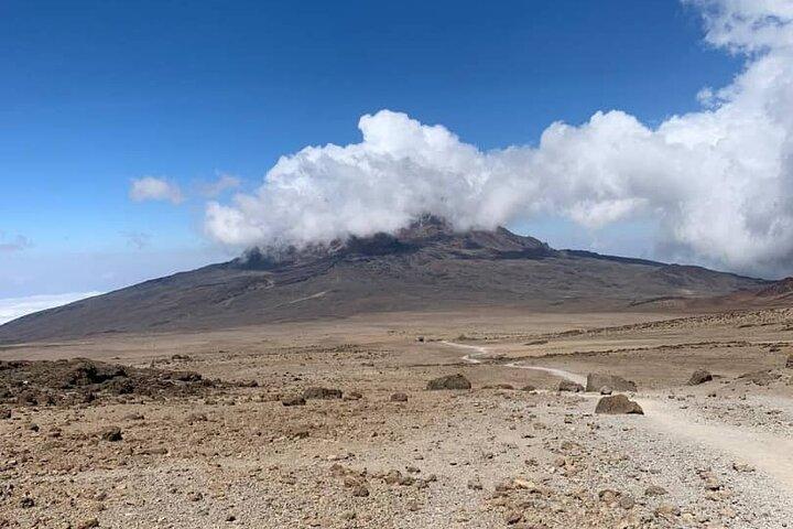 Mount Kilimanjaro - Lemosho Route