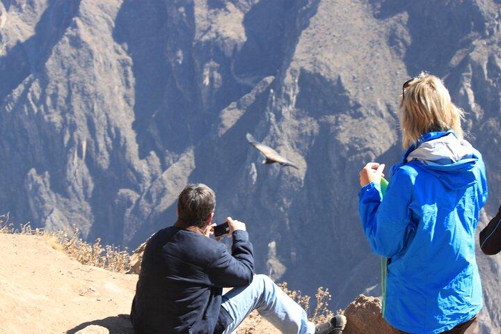 2-Day Colca Canyon, Vicuna Reserve and Condors from Arequipa