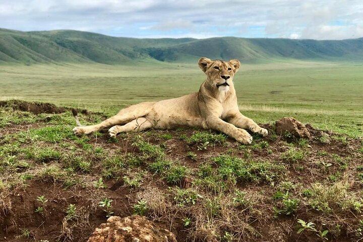 2 Days Best of Ngorongoro and Tarangire National Park