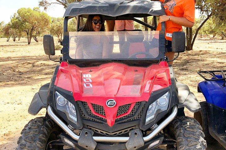 1/2 Day Buggy Marrakech Palmeraie
