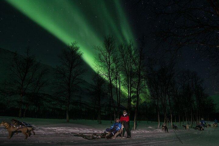 Arctic All-in-One Night: Dog Sledding, Snowmobiling & Aurora