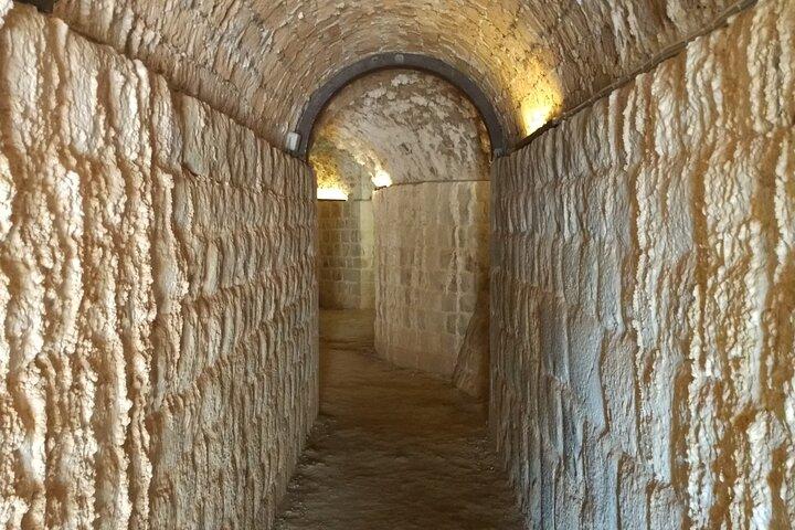 Dubrovnik Walls: Secret Tunnels of Minčeta Tower & Fort Bokar