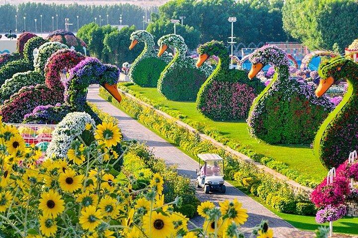 Dubai Miracle Garden Entry Tickets
