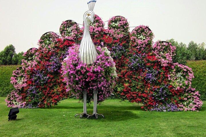 Dubai Miracle Garden Entry Tickets
