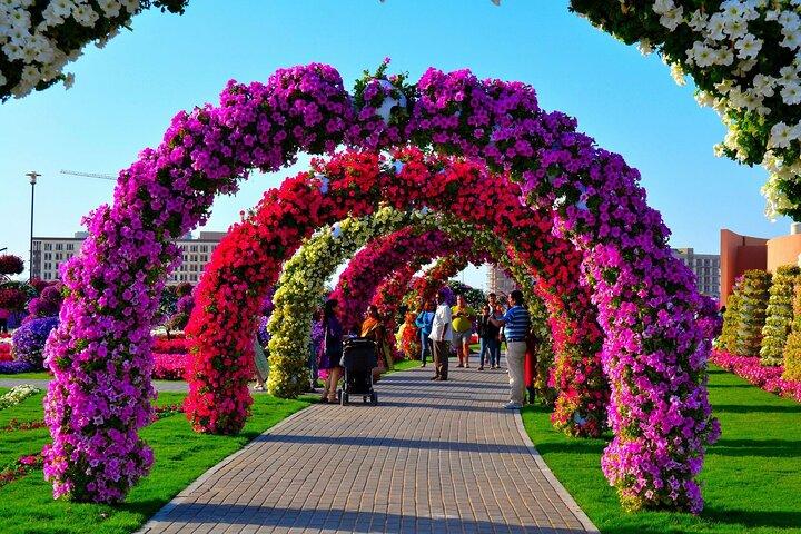 Dubai Miracle Garden Entry Tickets