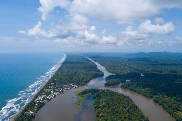 Tortuguero One Day Private Tour from San Jose