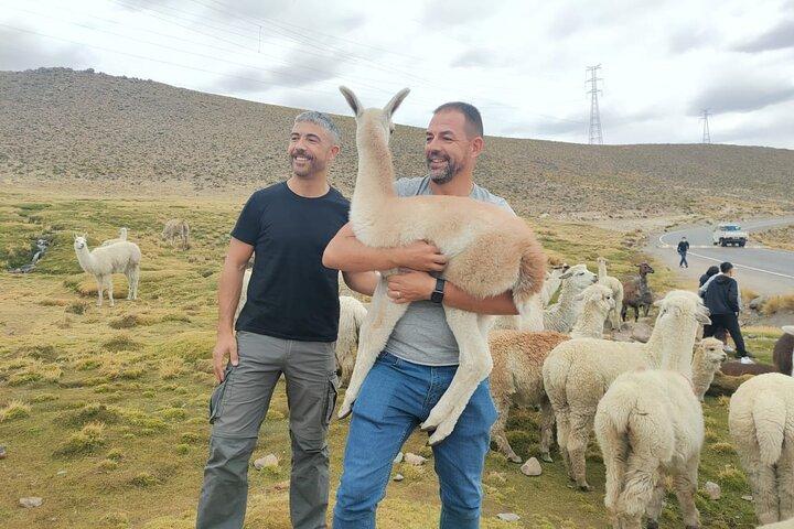 Private Full Day Tour of Ruta del Sol from Puno to Cusco