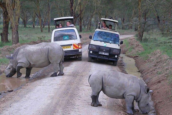 Nairobi: Lake Nakuru Safari & Lake Naivasha Boat Ride Day Trip