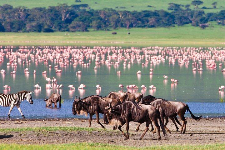 4 days Safari with Waterfalls and Hot Spring