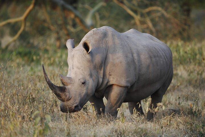 4 days Safari with Waterfalls and Hot Spring