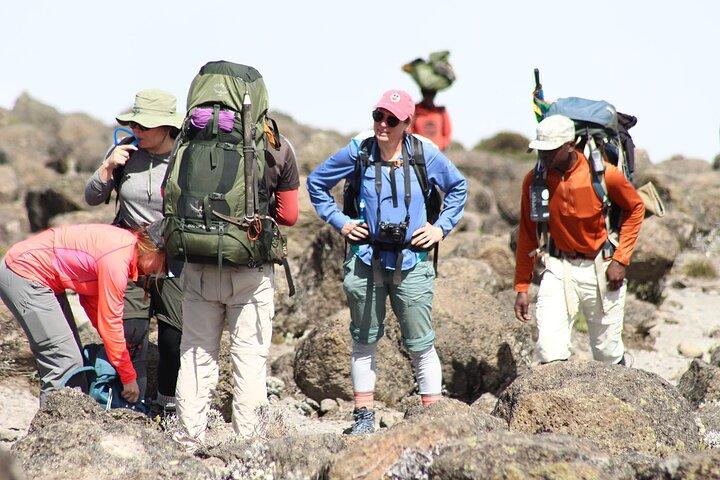 9-Day Small-Group Hiking Tour of Kilimanjaro Machame Route