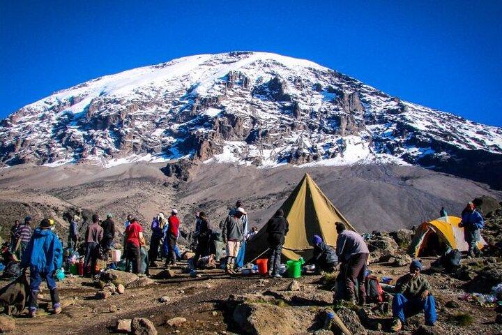 9-Day Small-Group Hiking Tour of Kilimanjaro Machame Route