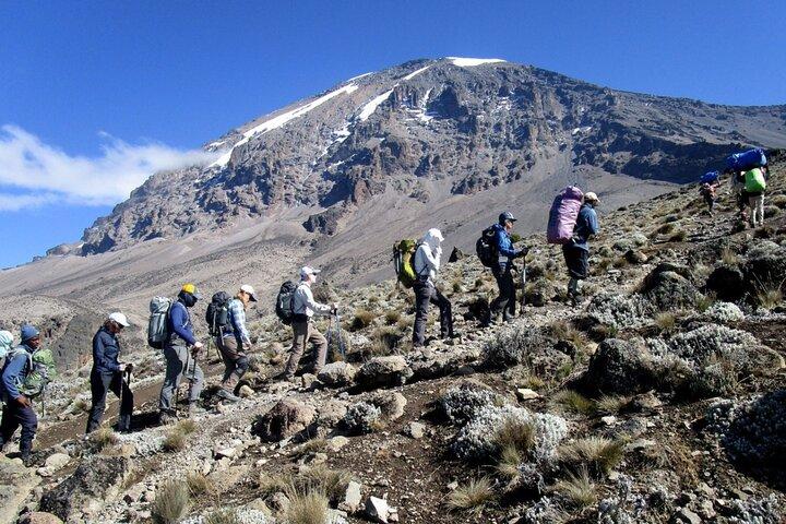 9-Day Small-Group Hiking Tour of Kilimanjaro Machame Route