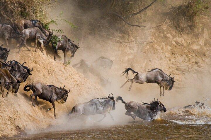 6 Days Wildebeest Migration Safaris