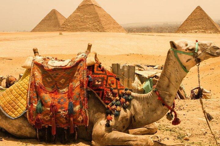 Full-Day Tour Giza Pyramids, Sphinx, Memphis, and Saqqara