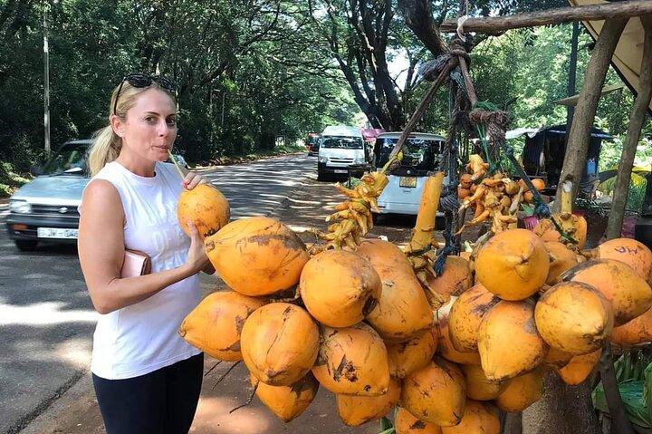 Round tour in Sri Lanka 11daysby Aaliya Tours-Hotels with H/B