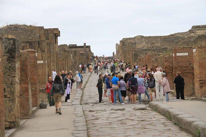 Day Trip of Pompeii, Herculaneum and Vesuvius from Naples