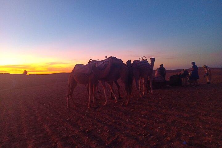 Camel Safari at Agafay Desert with Lunch