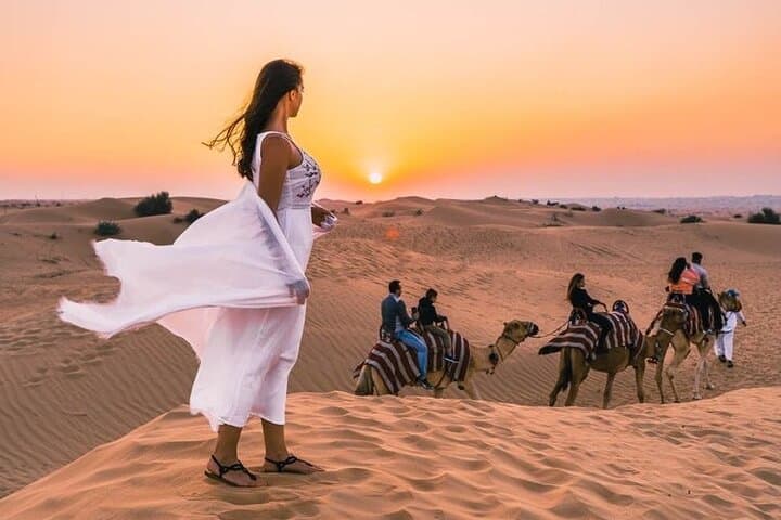 Dubai Evening Desert Safari Premium Camp BBQ Camel Falcon 5 Shows