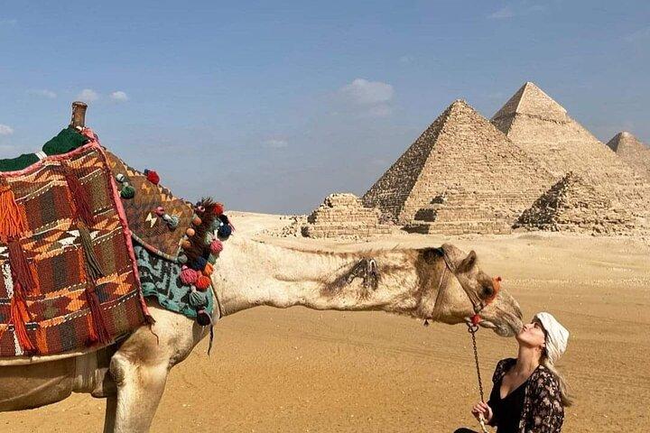Day Tour at The Egyptian Museum & Great Pyramids of Giza and Sphinx