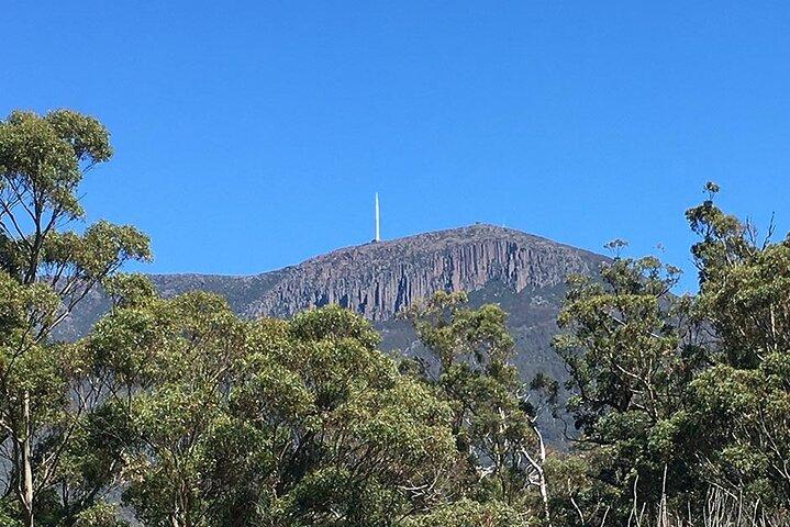 Easy Bike Tour - Mt Wellington Summit Descent & Rainforest Ride