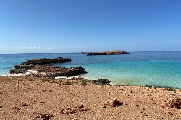 Snorkeling at Dimaniyat Islands and Dolphin Watching (Half-Day)