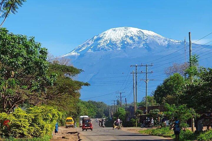 Mountain Kilimanjaro Climbing 7 Days Lemosho Route