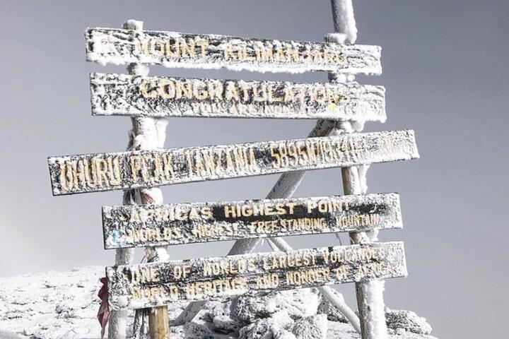 Mountain Kilimanjaro Climbing 7 Days Lemosho Route