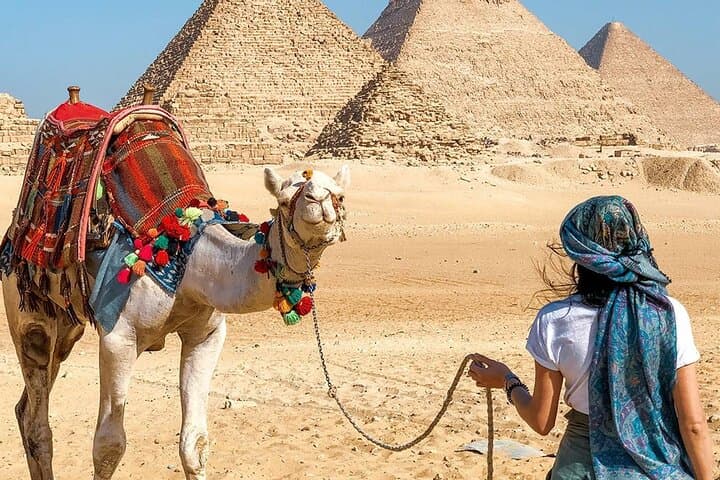Day Tour Grand Egyptian Museum and Giza Pyramids