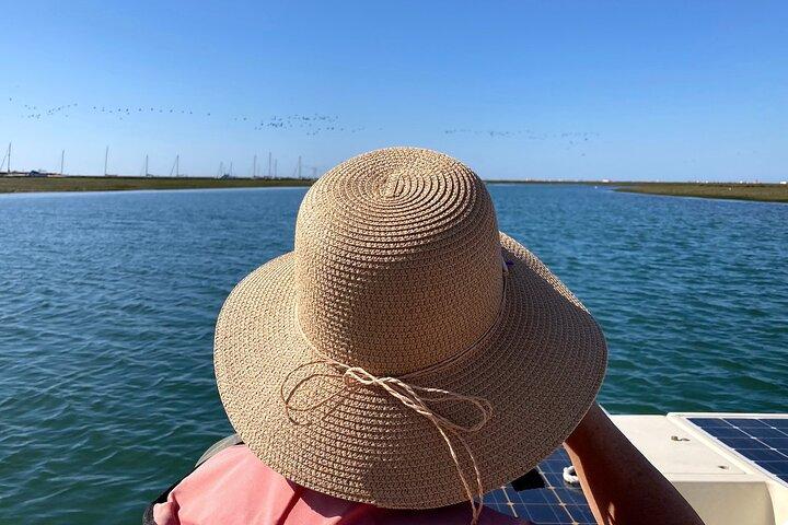 Birdwatching in Ria Formosa - Eco Boat Tour from Faro