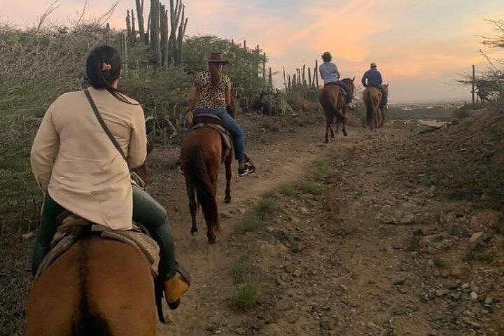 Horseback Riding Wariruri Beach Tour in Aruba
