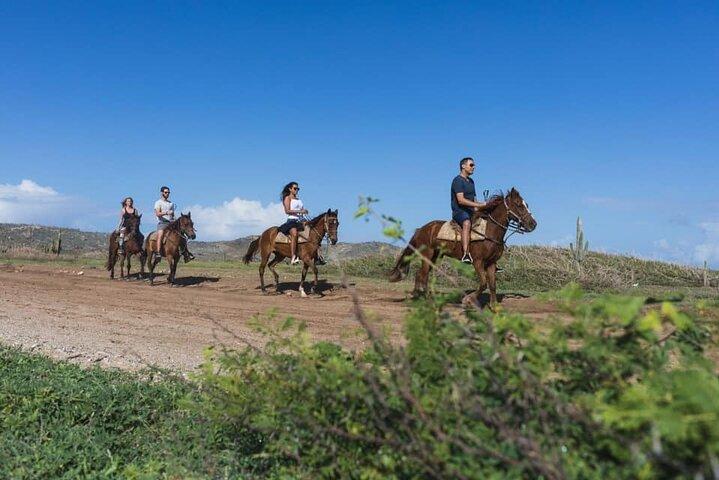 Horseback Riding Wariruri Beach Tour in Aruba