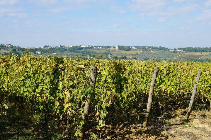 Super Chianti 2 wineries & meat feast @ Dario Cecchini—max 8 pp