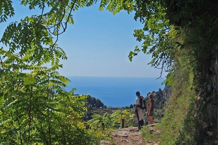 Gastronomic Hike on the Path of the Gods with Food Tasting