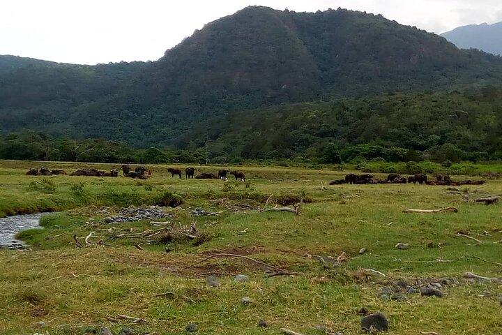 3 Days Mount Meru Trek