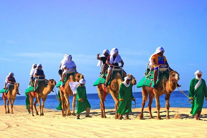 Camel Ride & Encounter at Los Cabos