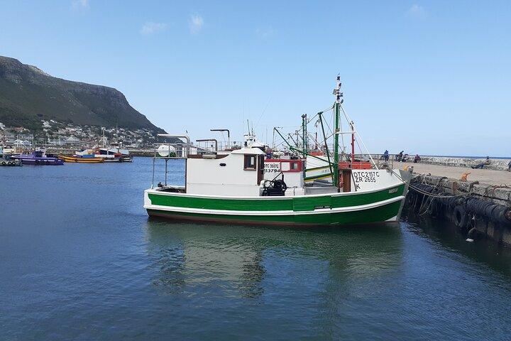 Private Cape Point / Peninsula Tour
