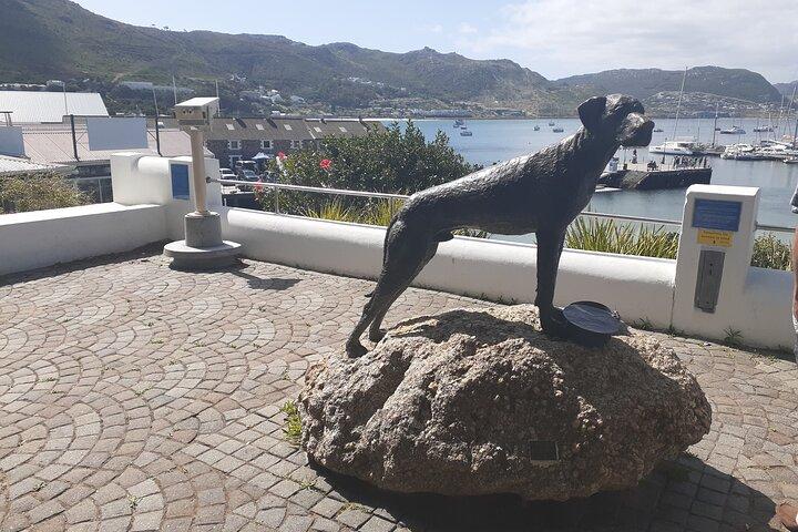 Private Cape Point / Peninsula Tour