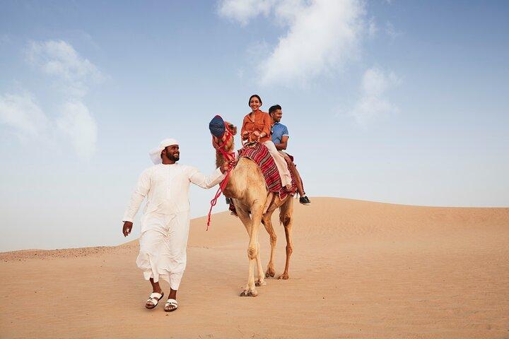 Dubai: Evening Camel Caravan, Bedouin Dinner at Al Marmoom Oasis