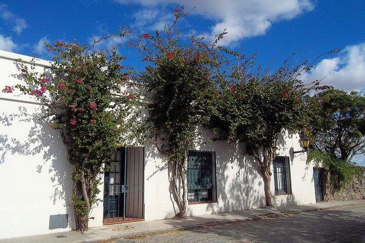 Colonia Premium Day Tour From Buenos Aires