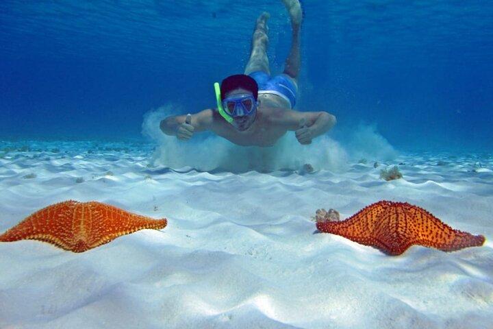 Cozumel Snorkeling Tour to Palancar Reef and El Cielo