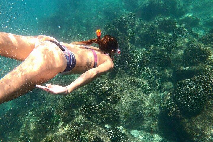Luxury Snorkel Adventure in Cabo
