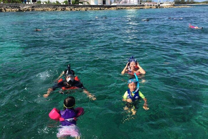 Private Rose Island, Swimming Pigs, Snorkeling and Turtles