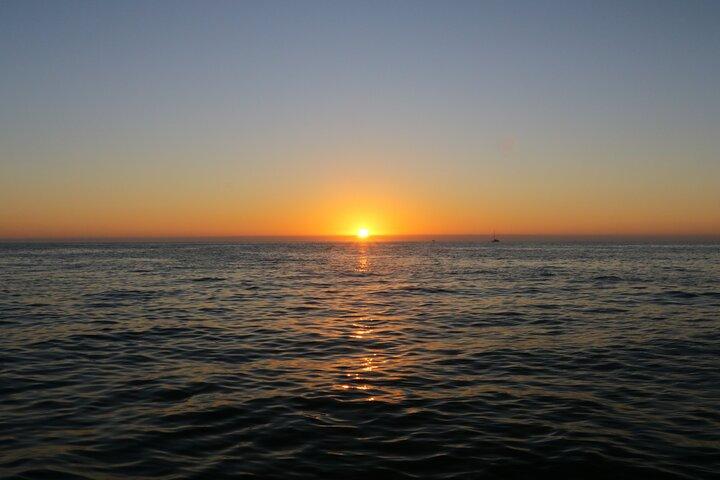 Sunset & Dolphin Tour St. Pete Beach