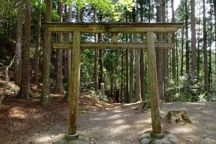 Kumanokodo 2 Day Walking Tour from Osaka