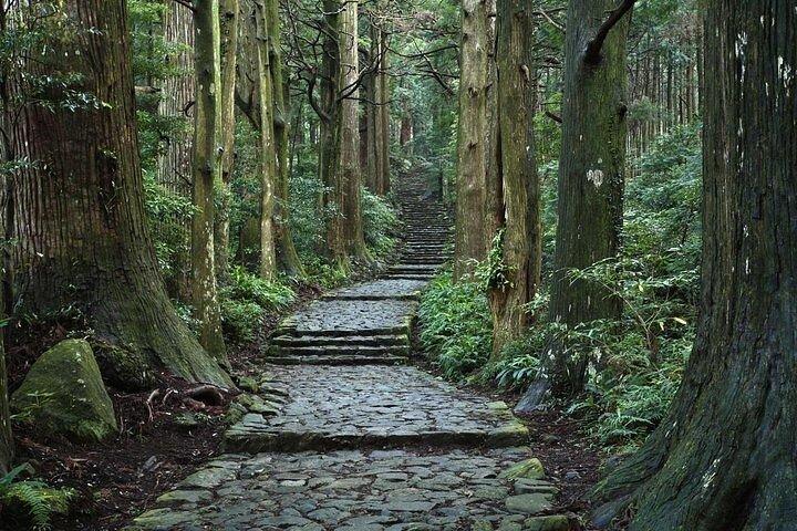 Kumanokodo 2 Day Walking Tour from Osaka
