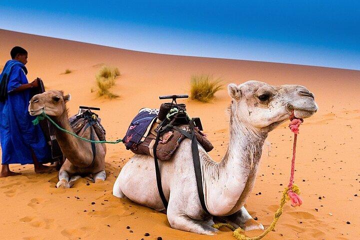 3 Days Desert Tour from Marrakech to Fes
