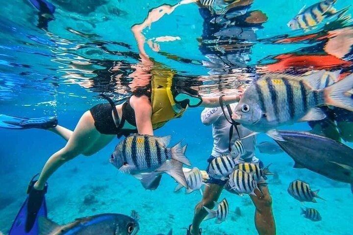 Cozumel Snorkeling Experience! El Cielo Reef from Cancun